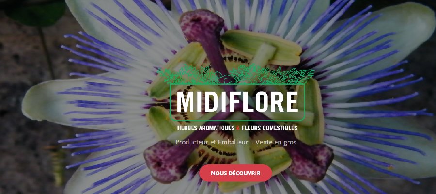 CC638 Logo MIDIFLORE .JPG